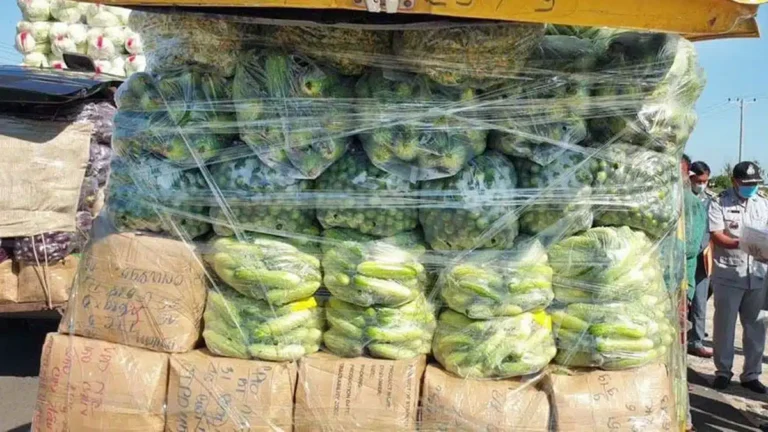 洪森：若泰国不重开边境 柬埔寨将暂停进口泰国果蔬